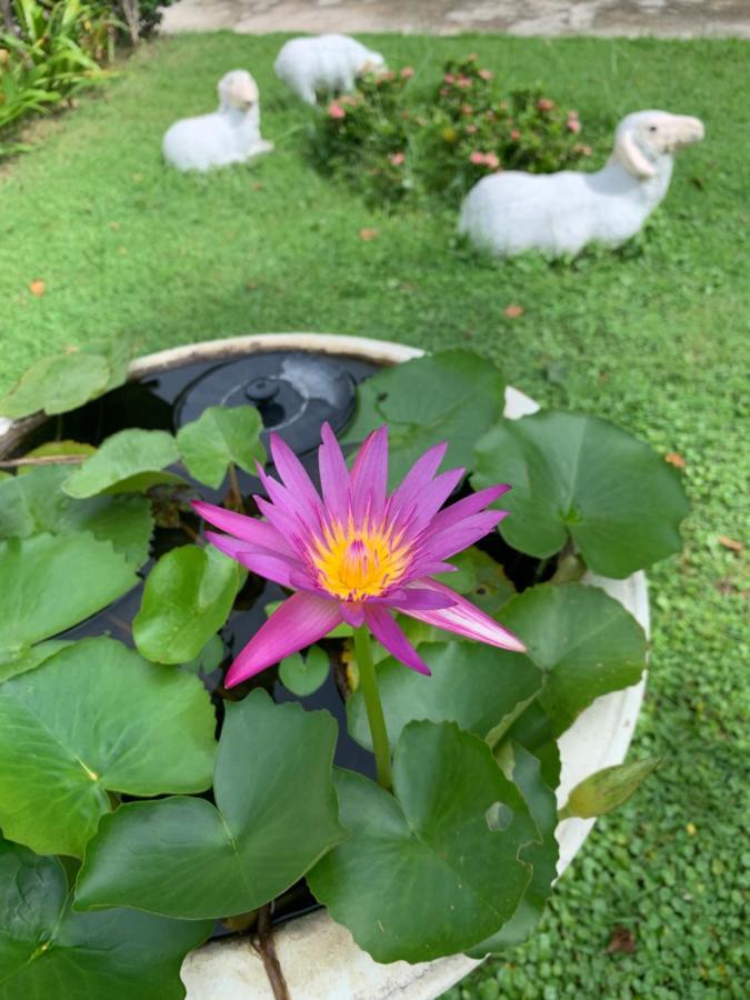 The Orchid House Hotel Nong Kung Yai Ngoại thất bức ảnh