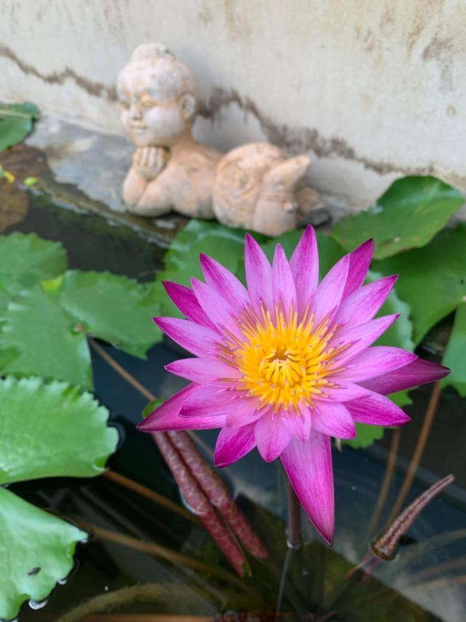 The Orchid House Hotel Nong Kung Yai Ngoại thất bức ảnh